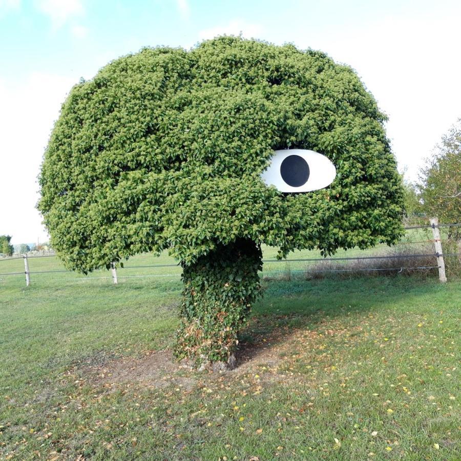 Gite Dans Parc De Sculptures - Gite "Pondichery" Port-Mort Dış mekan fotoğraf